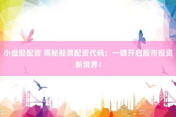 小盘股配资 揭秘股票配资代码：一键开启股市投资新境界！