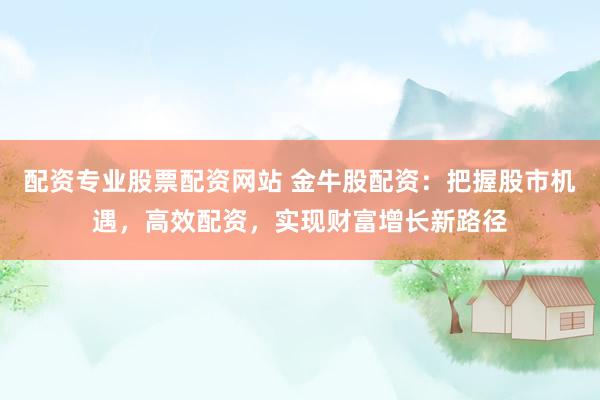 配资专业股票配资网站 金牛股配资：把握股市机遇，高效配资，实现财富增长新路径