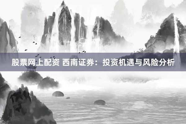 股票网上配资 西南证券：投资机遇与风险分析