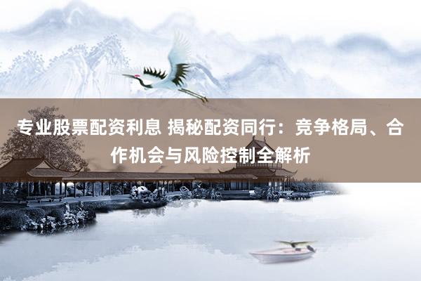 专业股票配资利息 揭秘配资同行：竞争格局、合作机会与风险控制全解析