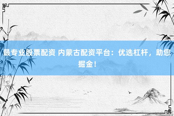 最专业股票配资 内蒙古配资平台：优选杠杆，助您掘金！