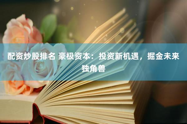 配资炒股排名 豪极资本：投资新机遇，掘金未来独角兽