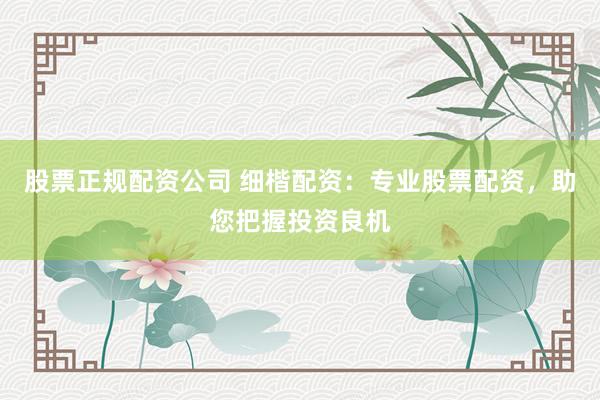 股票正规配资公司 细楷配资：专业股票配资，助您把握投资良机