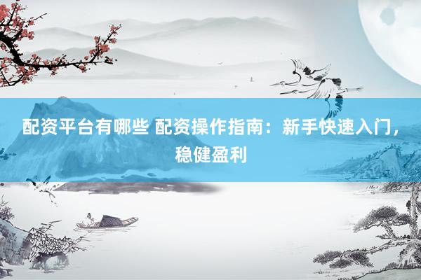 配资平台有哪些 配资操作指南：新手快速入门，稳健盈利