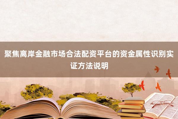 聚焦离岸金融市场合法配资平台的资金属性识别实证方法说明