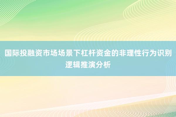 国际投融资市场场景下杠杆资金的非理性行为识别逻辑推演分析