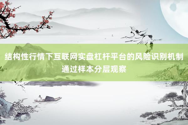 结构性行情下互联网实盘杠杆平台的风险识别机制通过样本分层观察
