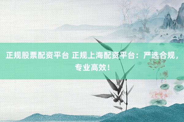 正规股票配资平台 正规上海配资平台：严选合规，专业高效！