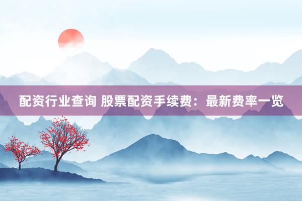 配资行业查询 股票配资手续费：最新费率一览
