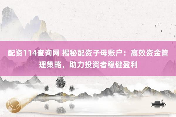 配资114查询网 揭秘配资子母账户：高效资金管理策略，助力投资者稳健盈利
