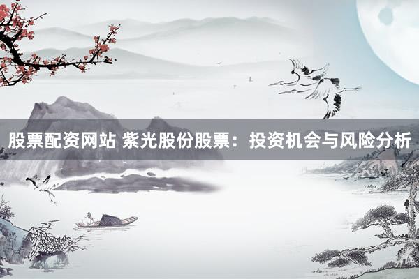股票配资网站 紫光股份股票：投资机会与风险分析